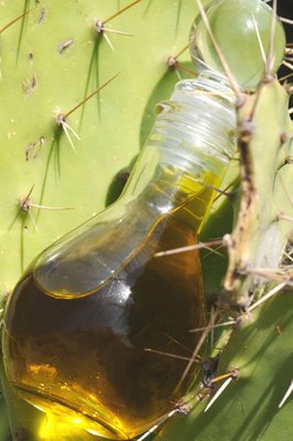 Leading supplier of organic oil